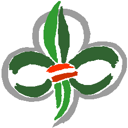 Pfadfinder Südstadt