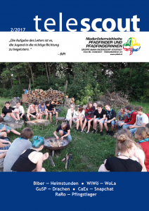 Telescout 2017-2 Pfadis beim Lagerfeuer
